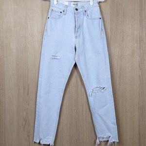NEW AGOLDE Jamie Gimmick High Rise Classic Distressed Jeans